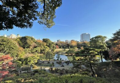 秋の六義園